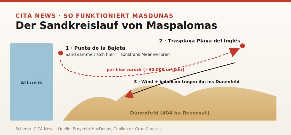 Schema des Sandkreislaufs von Maspalomas: von der Punta de la Bajeta per Lkw zur Trasplaya, dann mit dem Wind ins Dünenfeld.