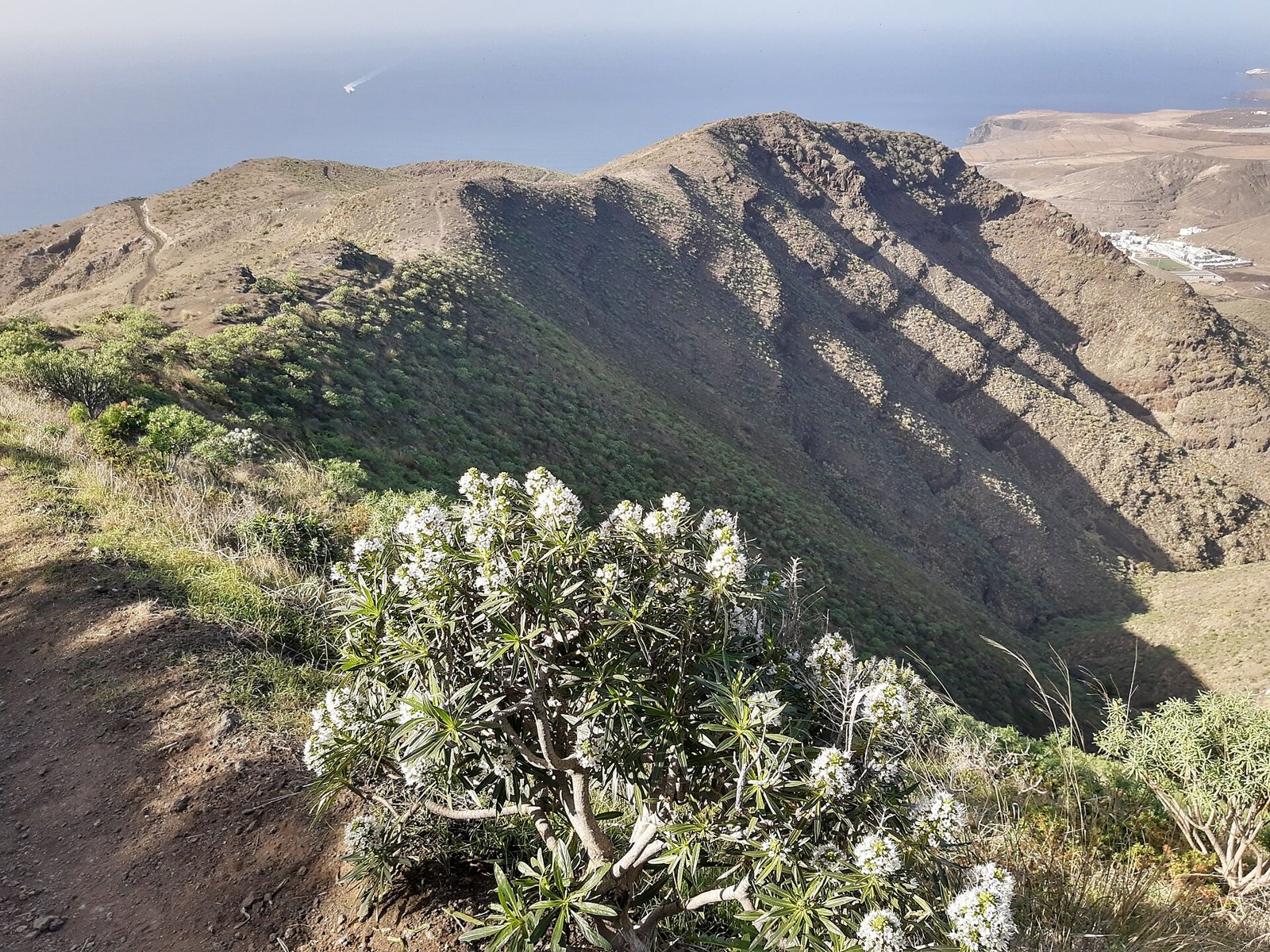 Vista de Agaete, en el noroeste de Gran Canaria (imagen de recurso)