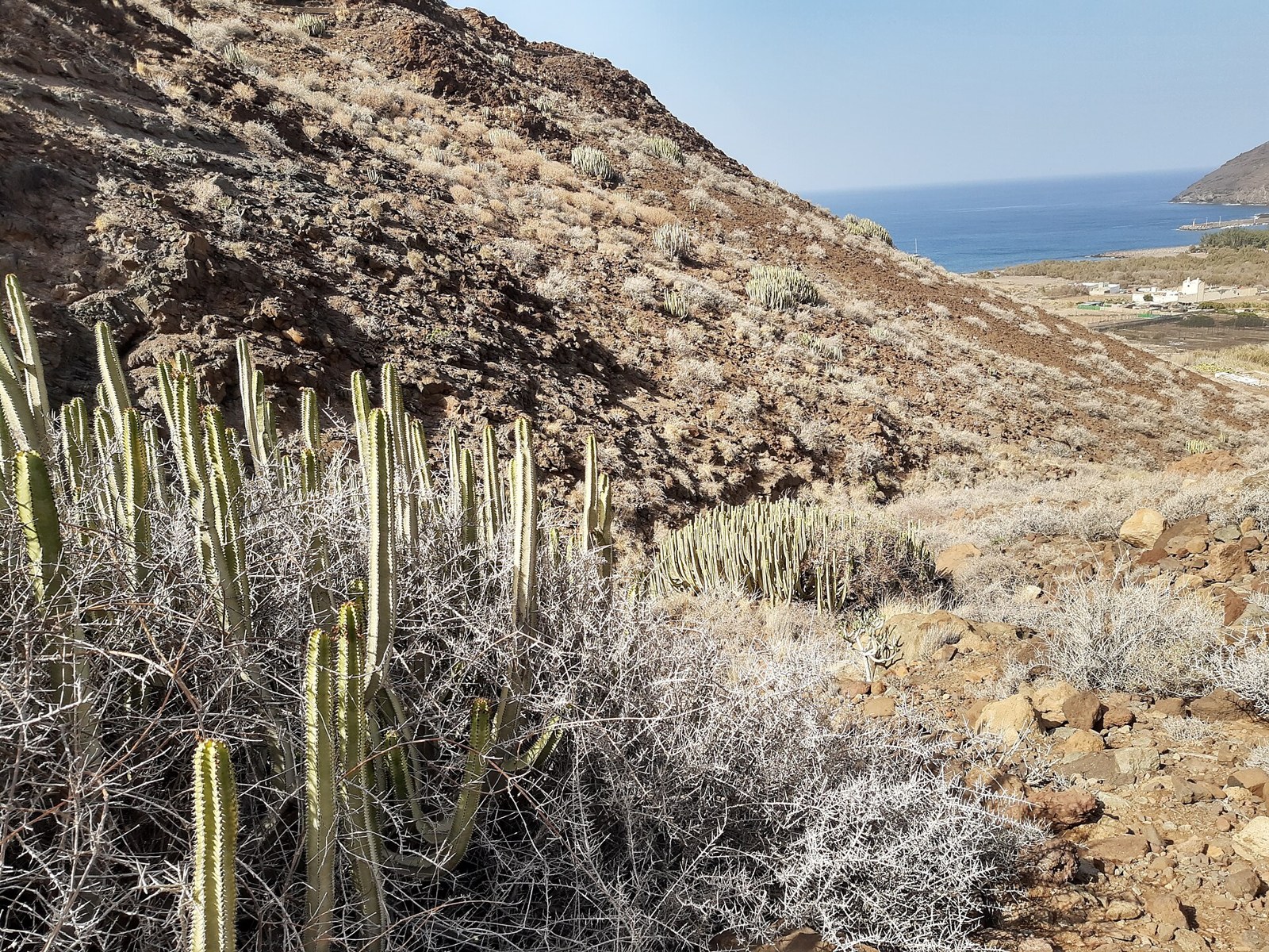 Vista sui pendii verso il Puerto de La Aldea, nell'ovest di Gran Canaria