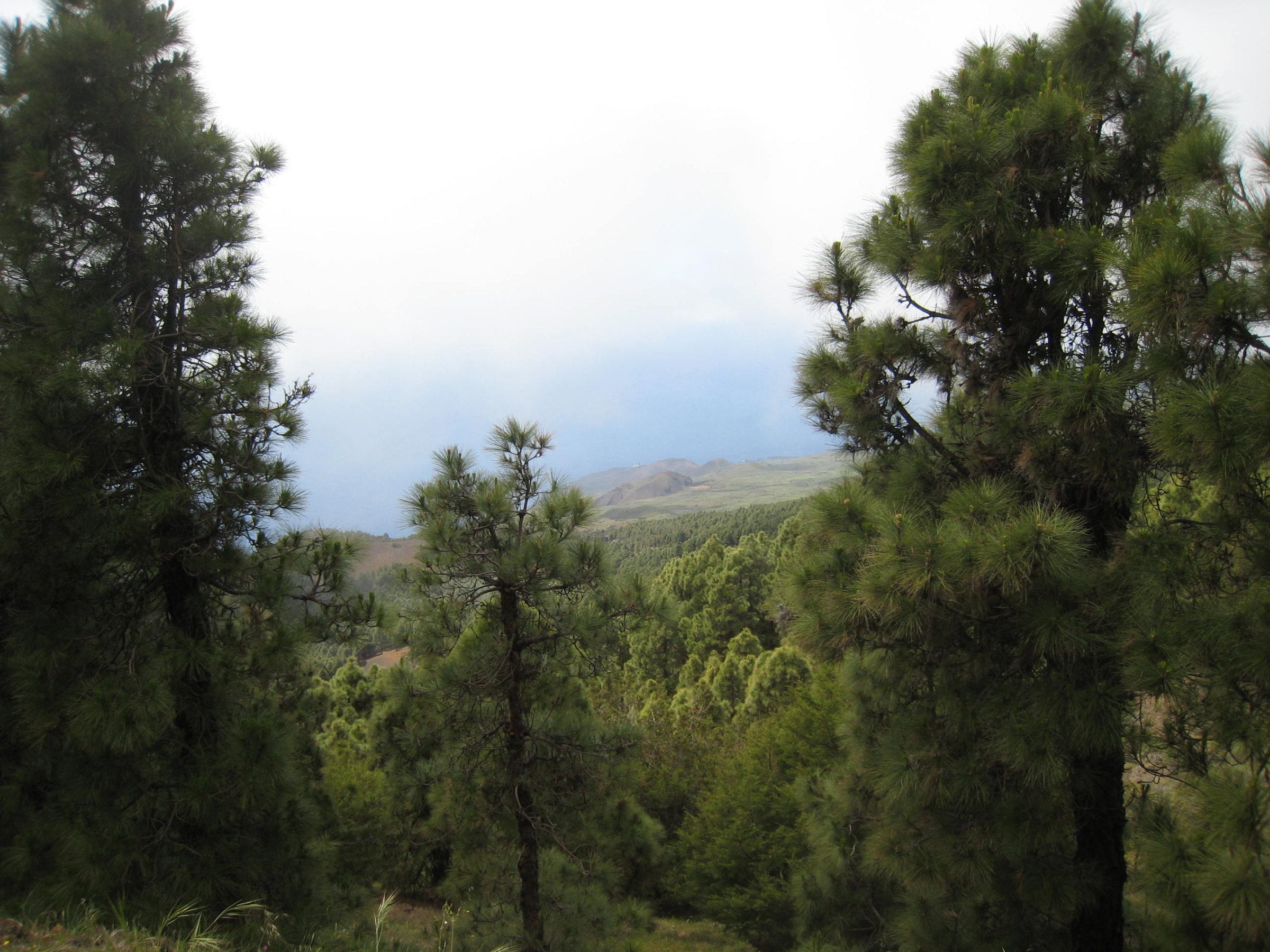 Immagine d'archivio: El hierro