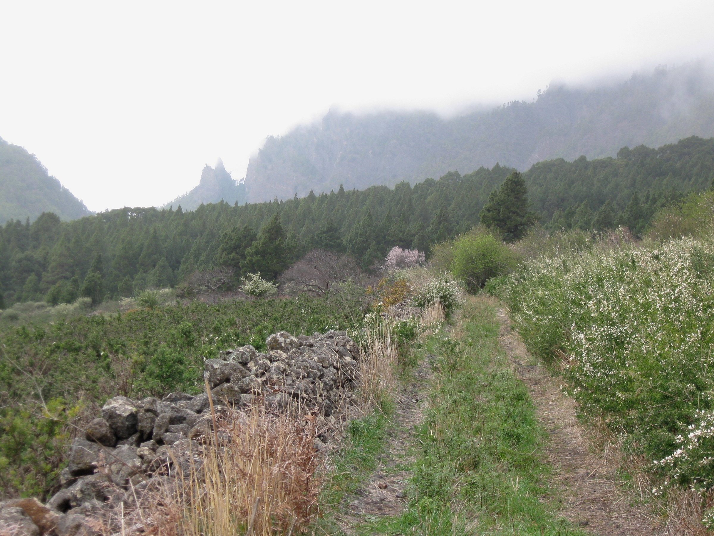 File photo: Landschaft bei El Paso La Palma