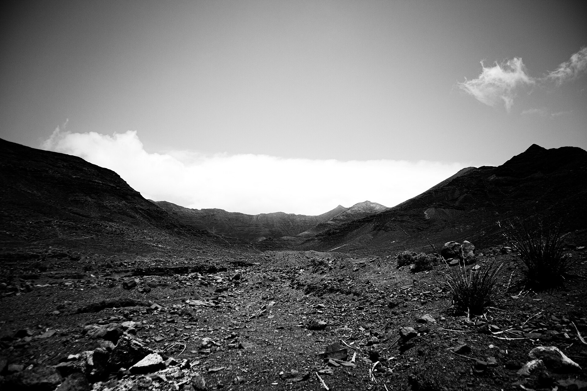 File photo: 20190701 fuerteventura jpeg
