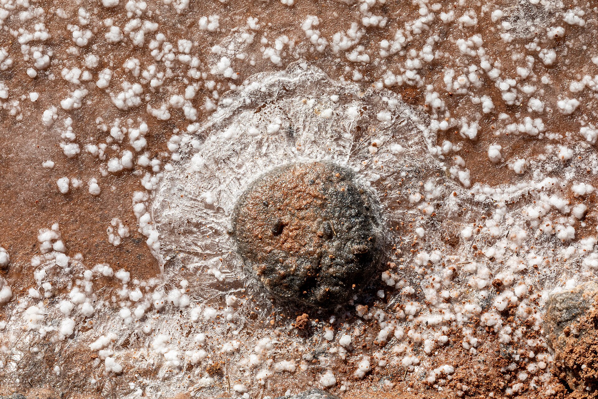 Symbolbild: Antigua (Fuerteventura, Spain), Museo de las Salinas del Carmen, Kristallisierungsbecken -- 2025