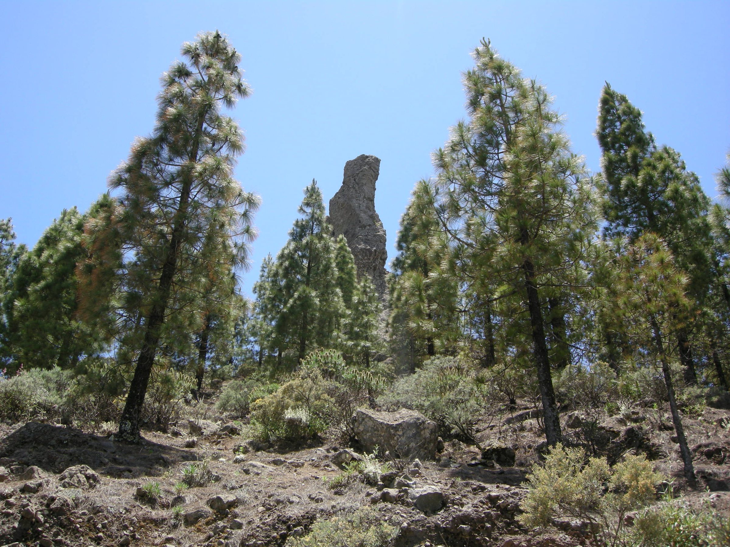 File photo: Roque nublo