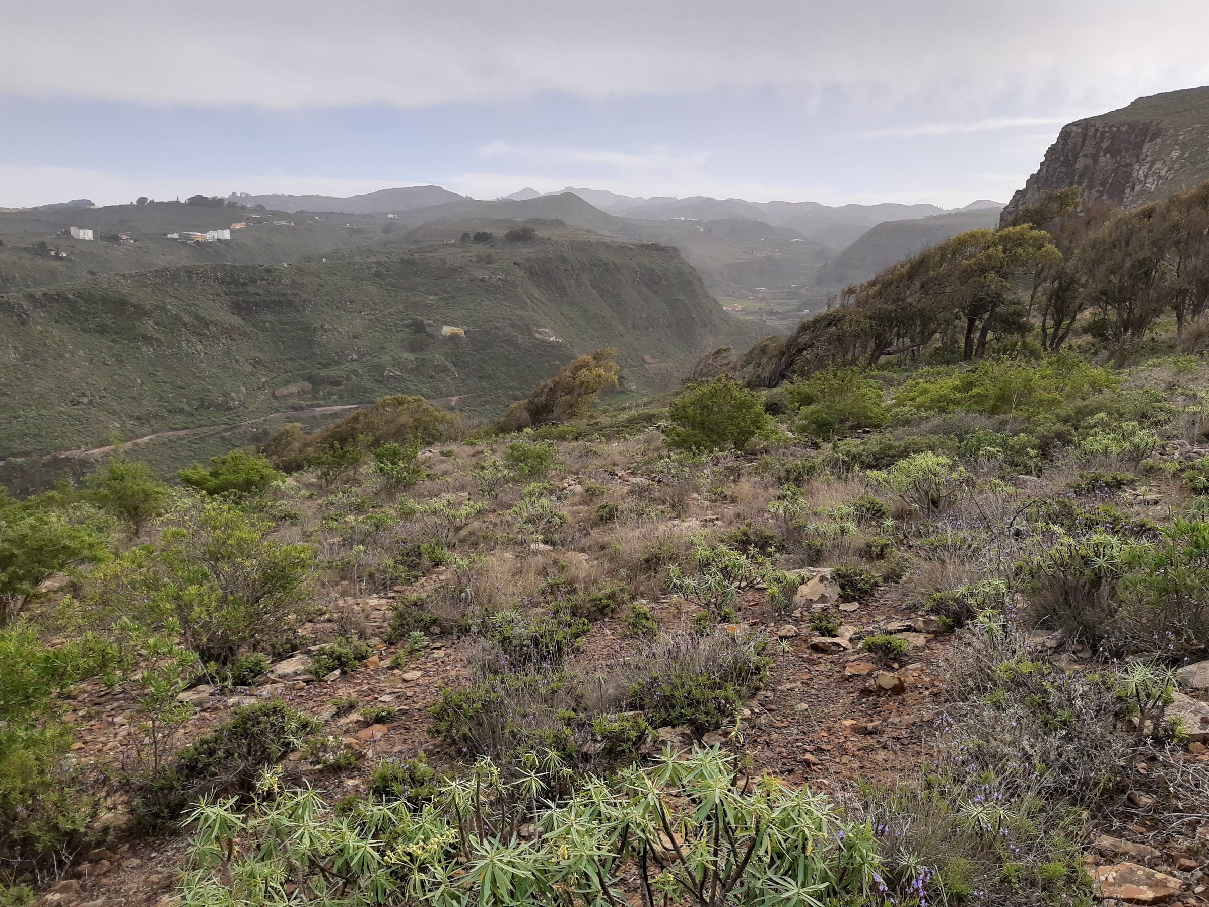 Symbolbild: View south from Montana de Guia, Gran Canaria
