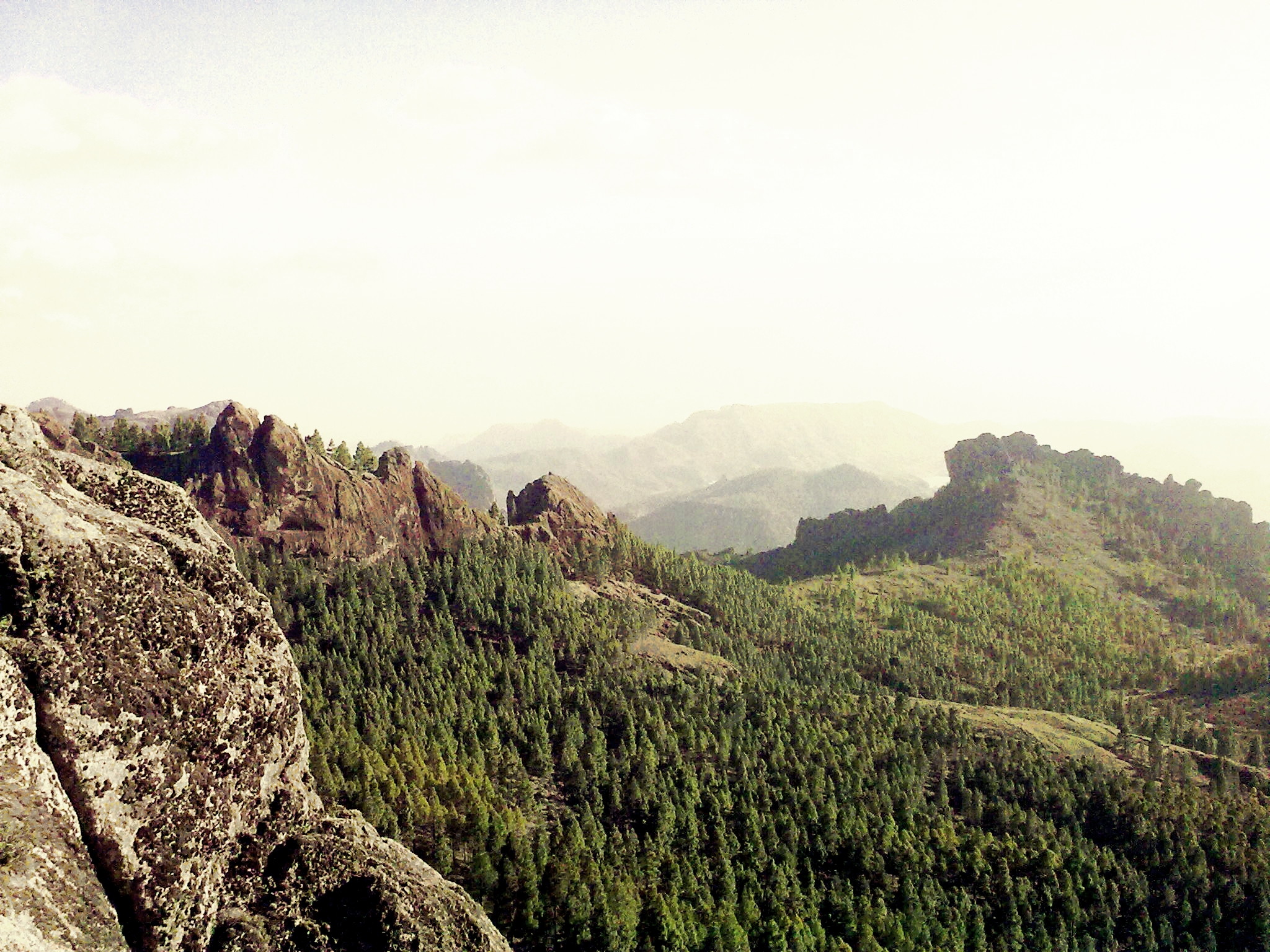 Symbolbild: Pinar Roque Nublo