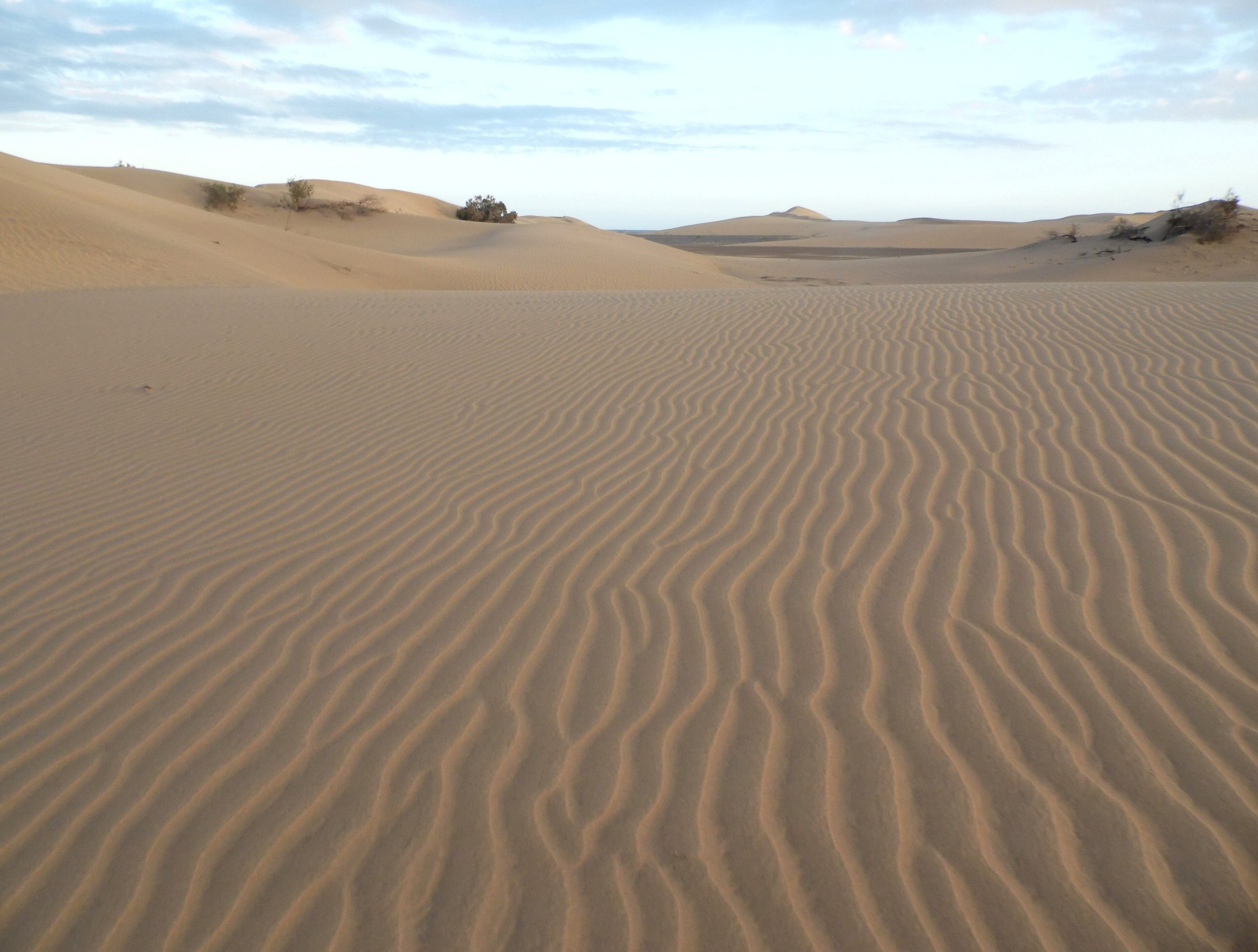 Imagen de archivo: Dunas de Maspalomas kz9