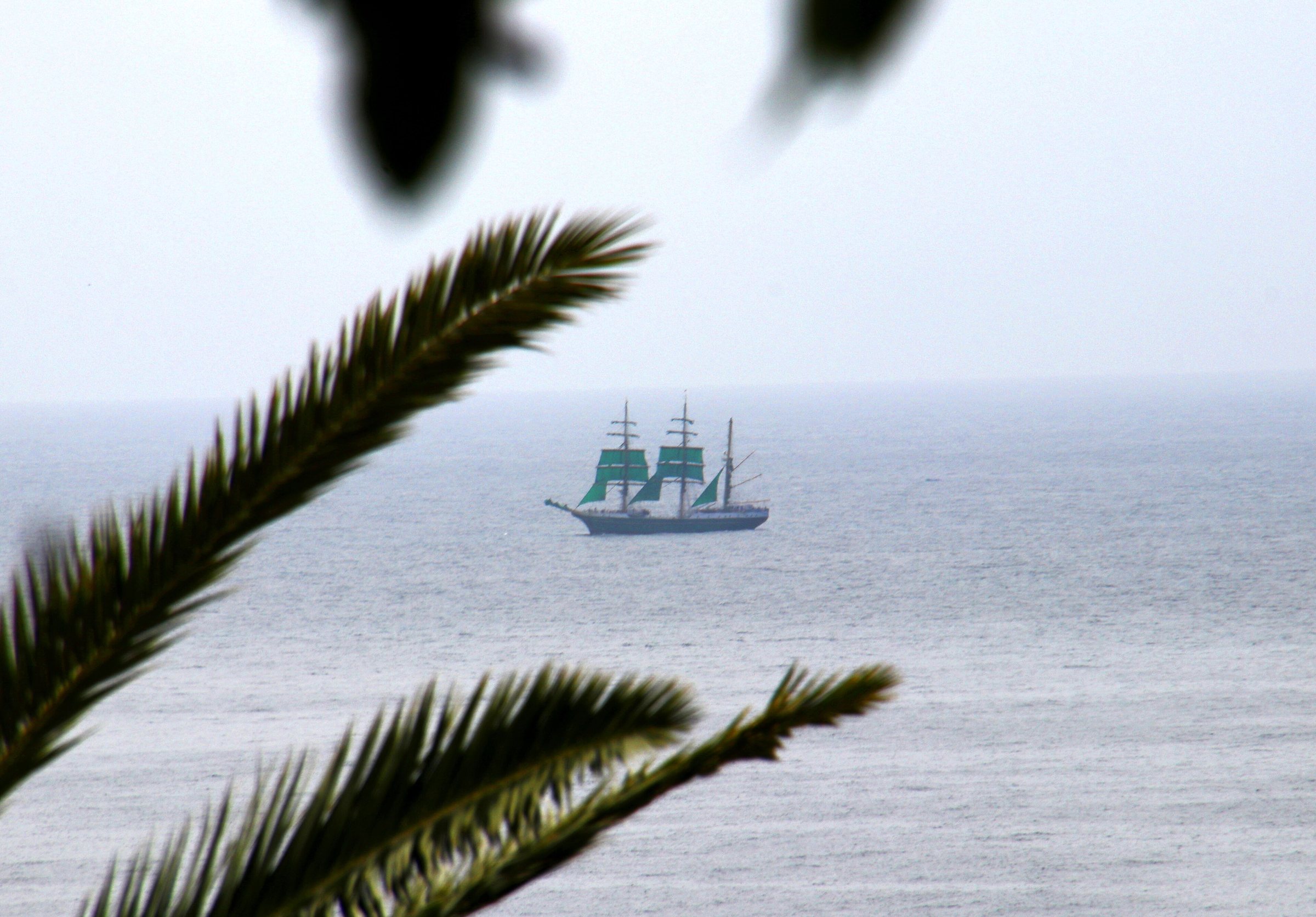 File photo: Canary Islands 2018-02-15