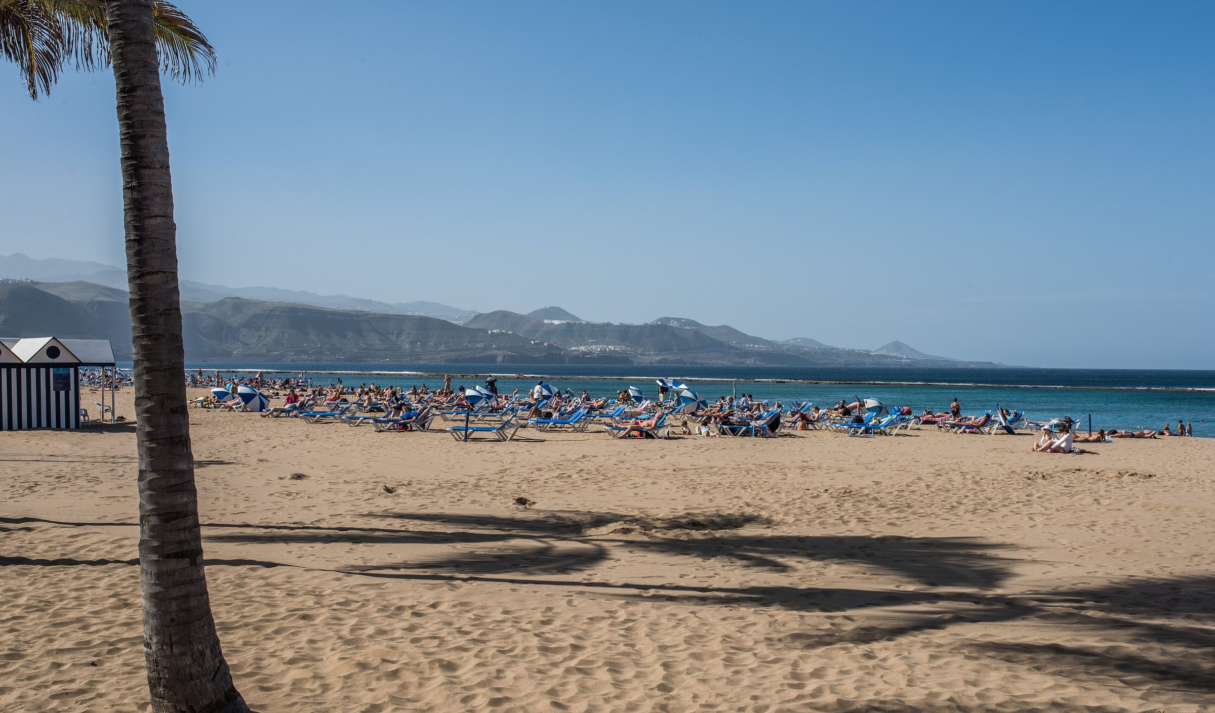 Immagine d'archivio: Playa de Las Canteras D81 5661