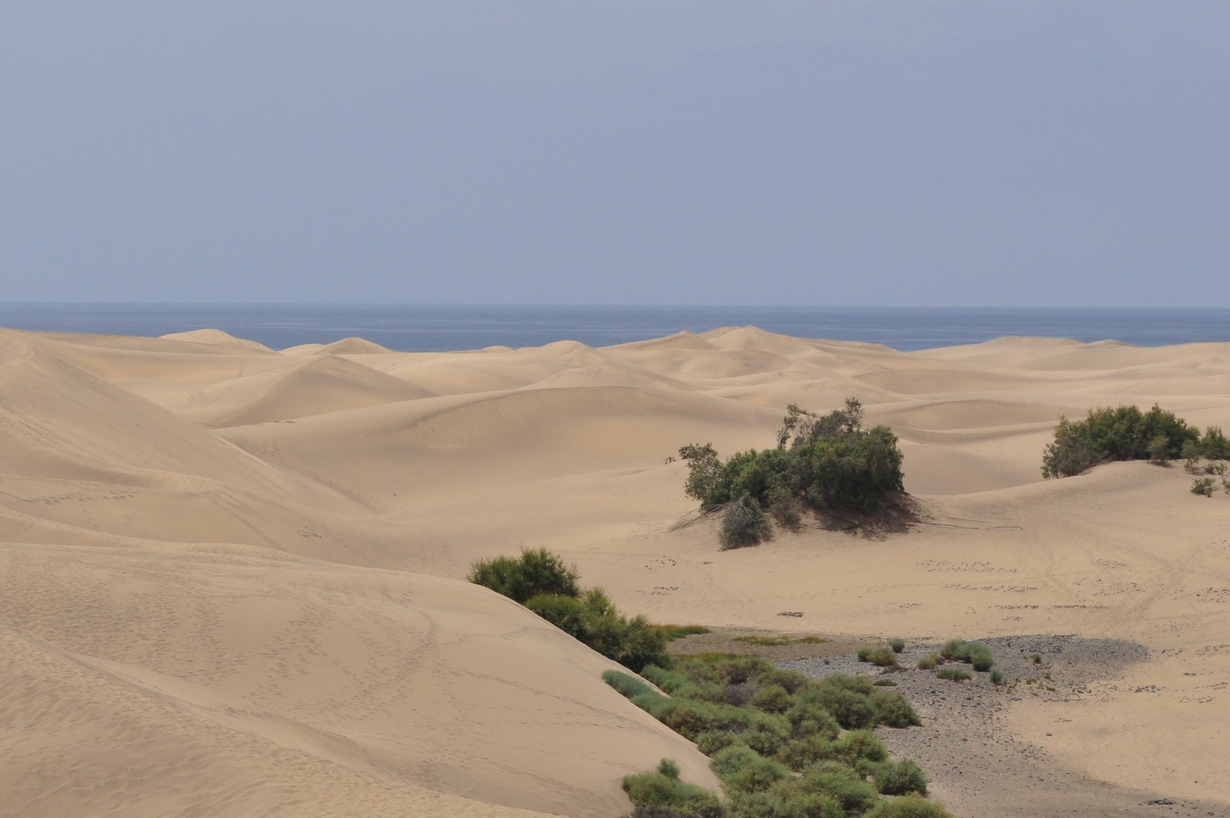 File photo: Las Dunas de Maspalomas