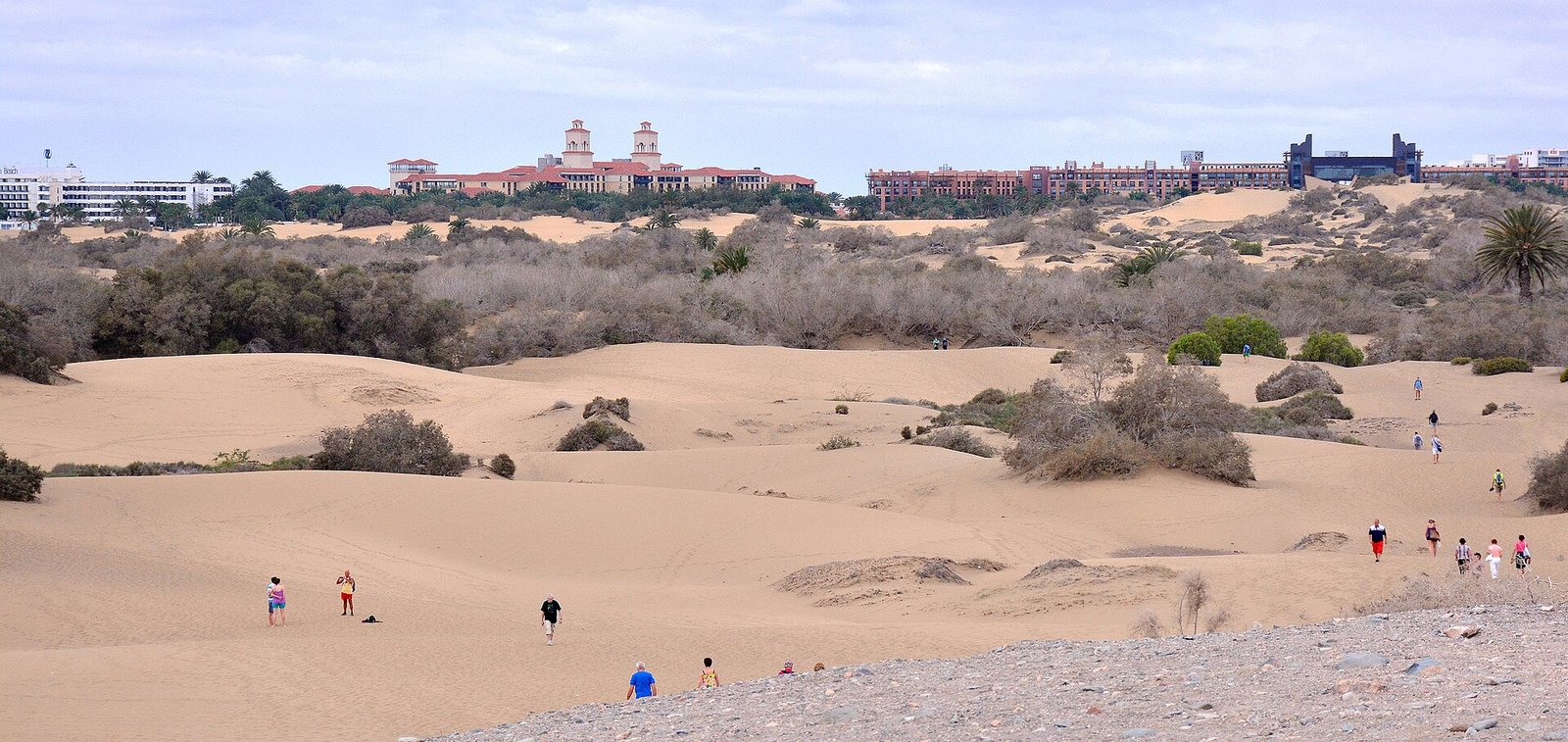 Sunny sand dunes of Maspalomas on Gran Canaria