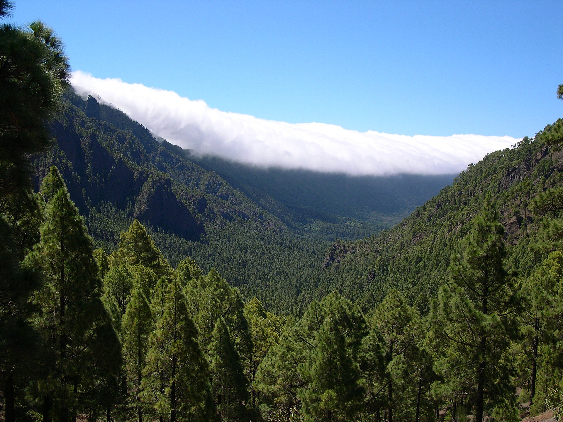 Imagen de archivo: Caldera de Taburiente La Palma