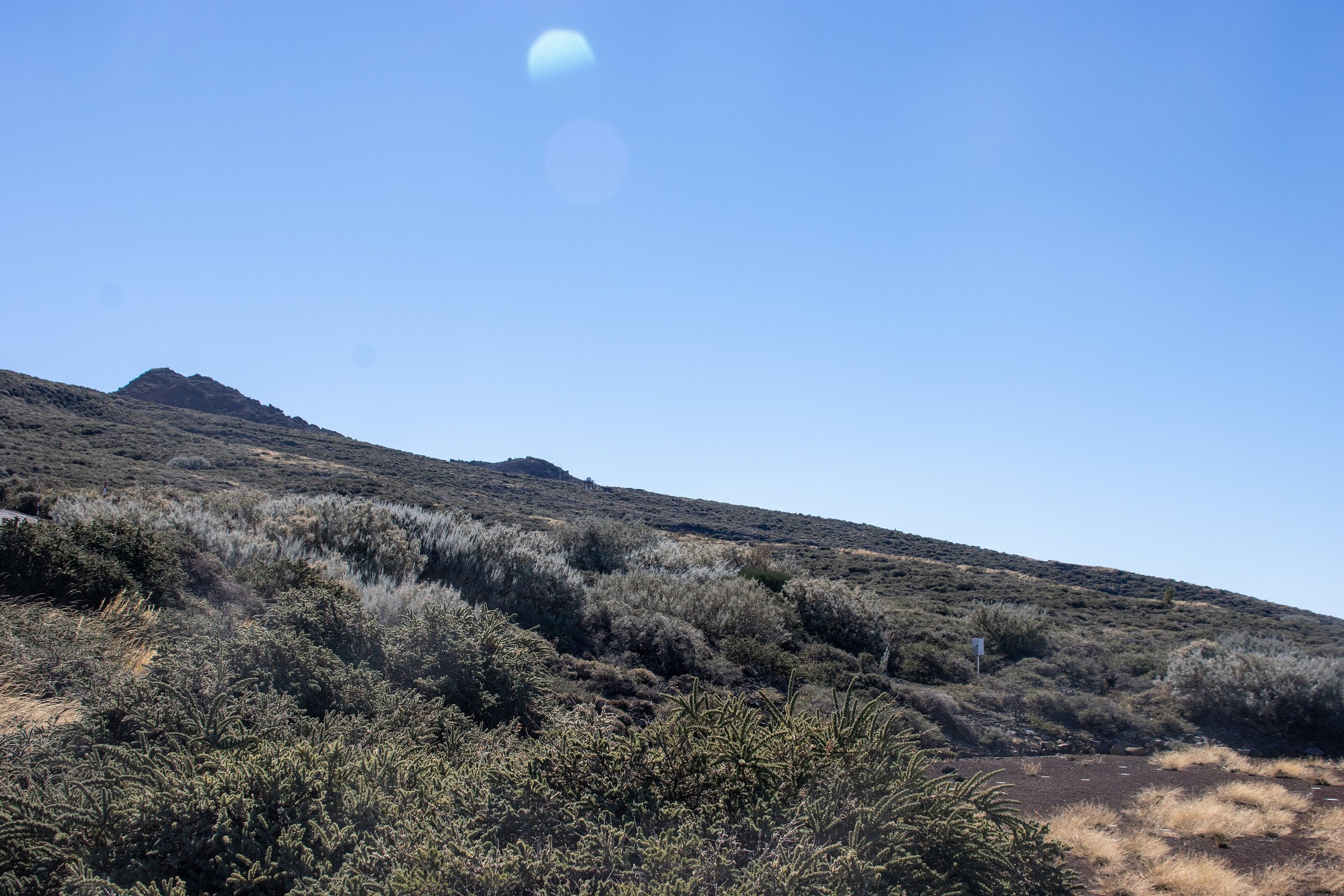 Symbolbild: At La Palma 2021