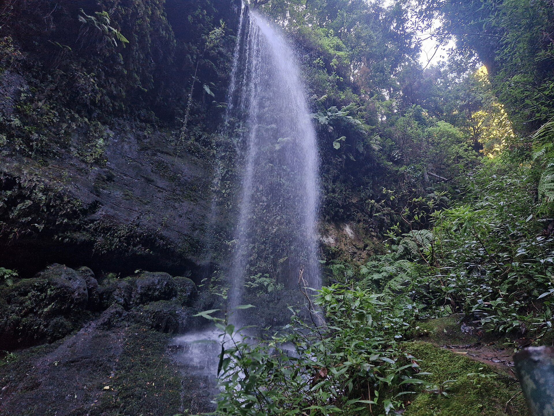 Immagine d'archivio: Los Tilos, La Palma, waterfall