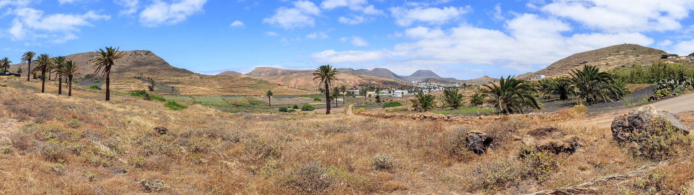 Imagen de archivo: Haría - Lanzarote
