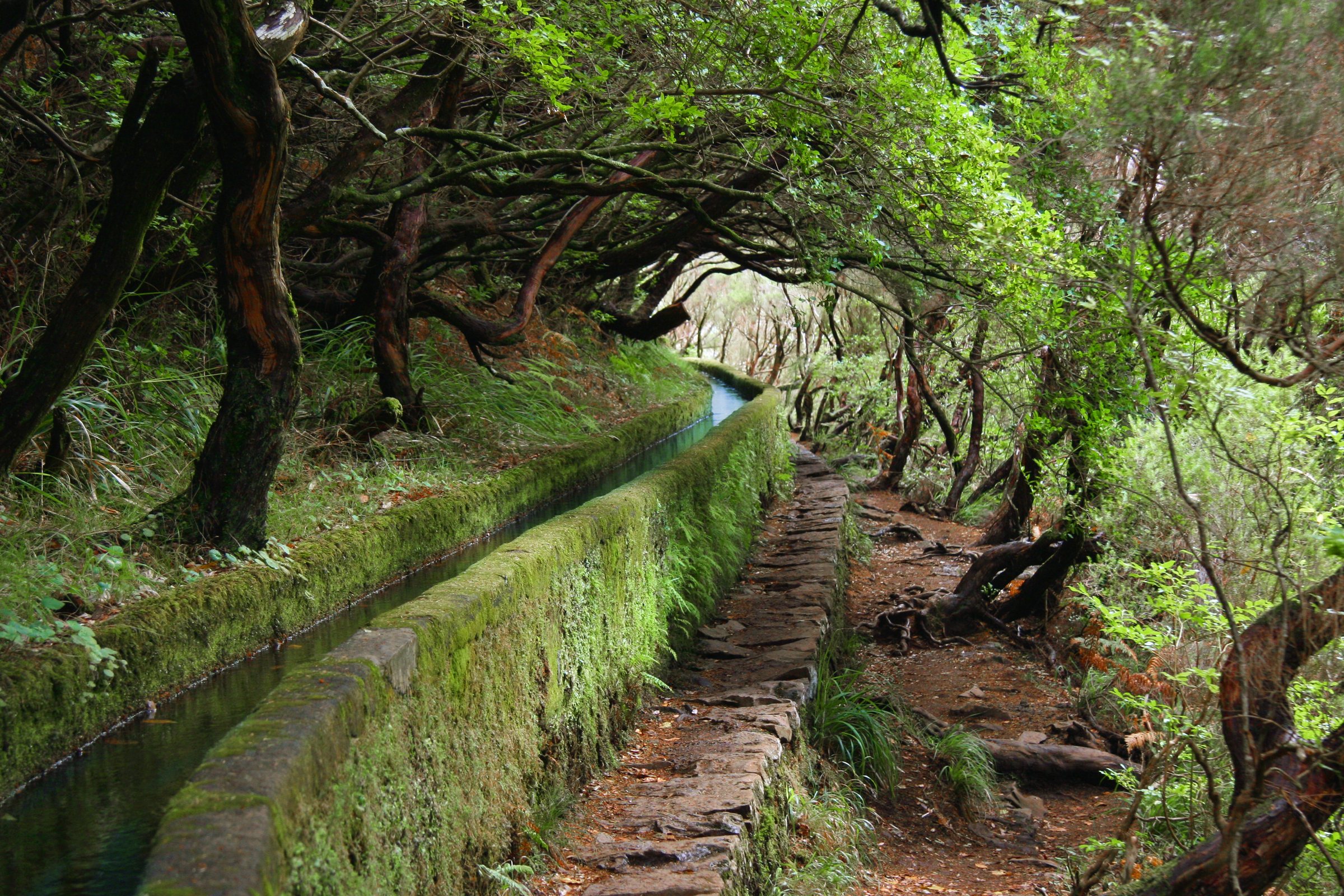 Symbolbild: Madeira Ponte Levada Piornais