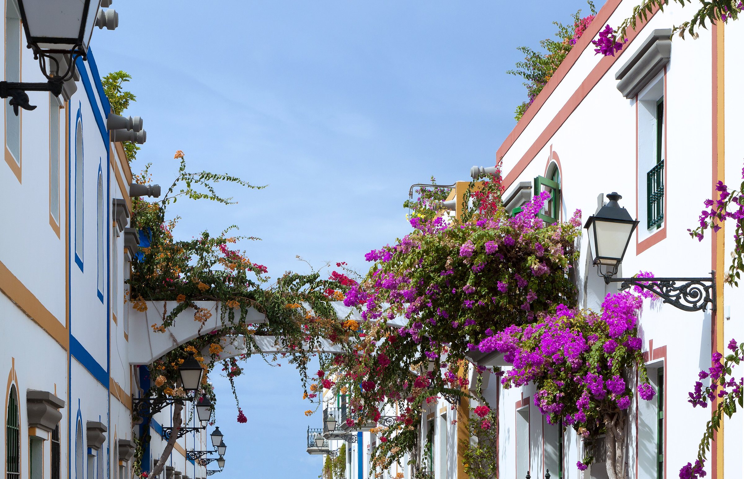 Symbolbild: Bougainvilleas - Puerto de Mogán