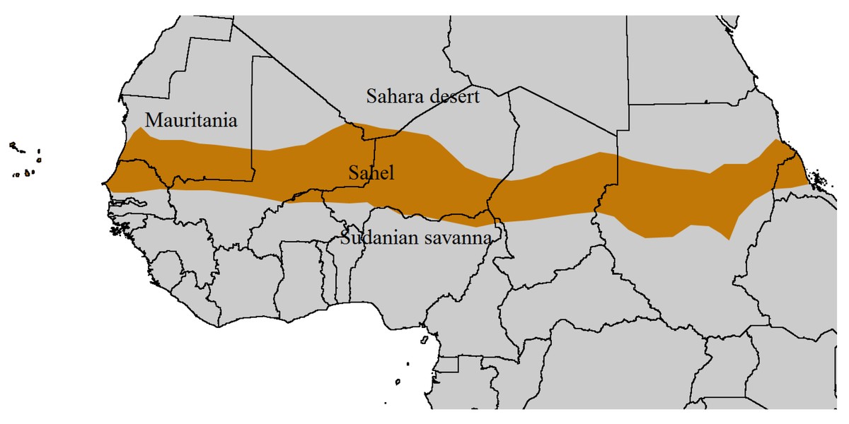 1.500 Kilometer und doch betroffen: Was die Sahel-Krise für die Kanaren bedeutet
