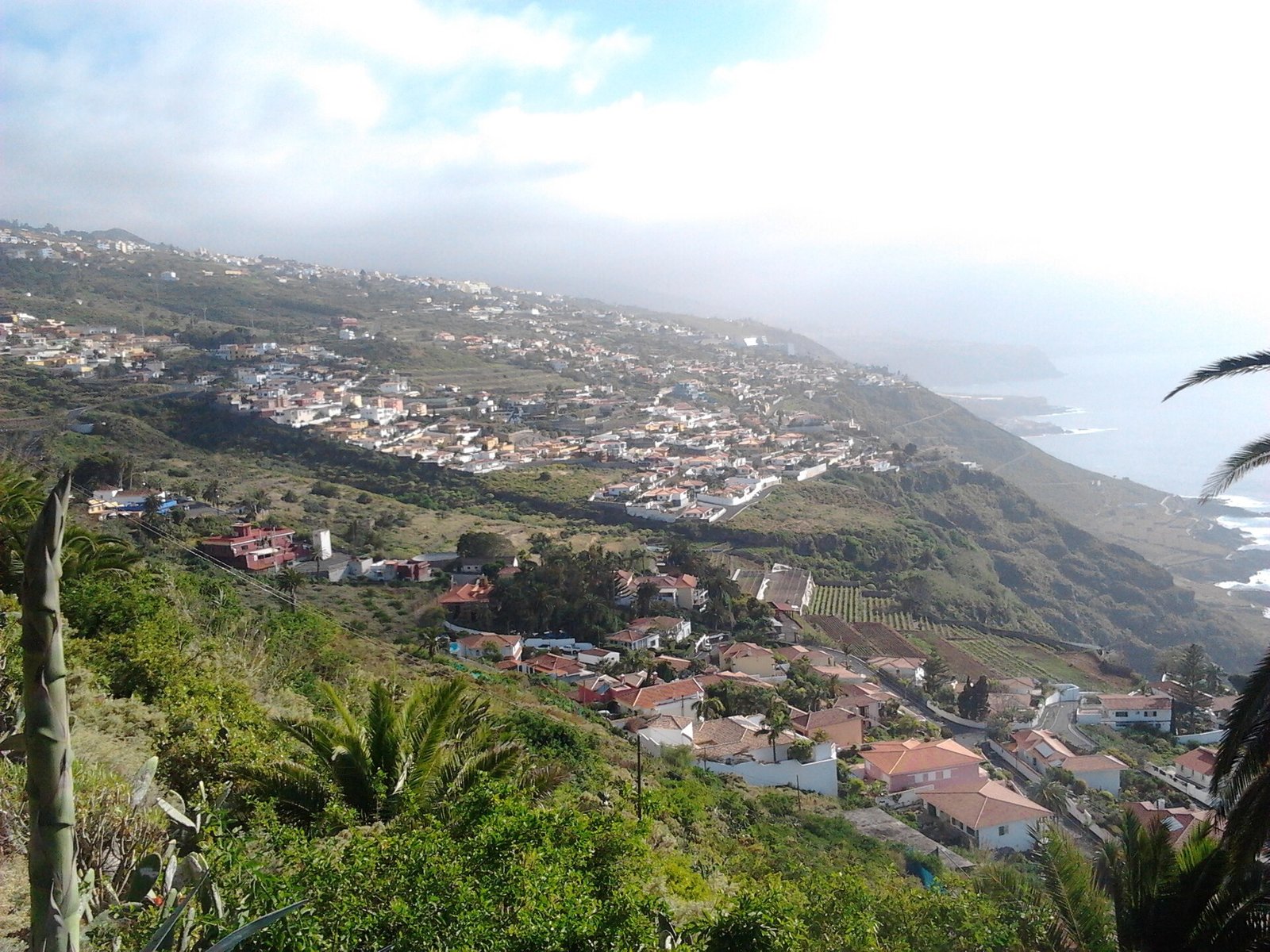 El Sauzal an der Nordkueste Teneriffas