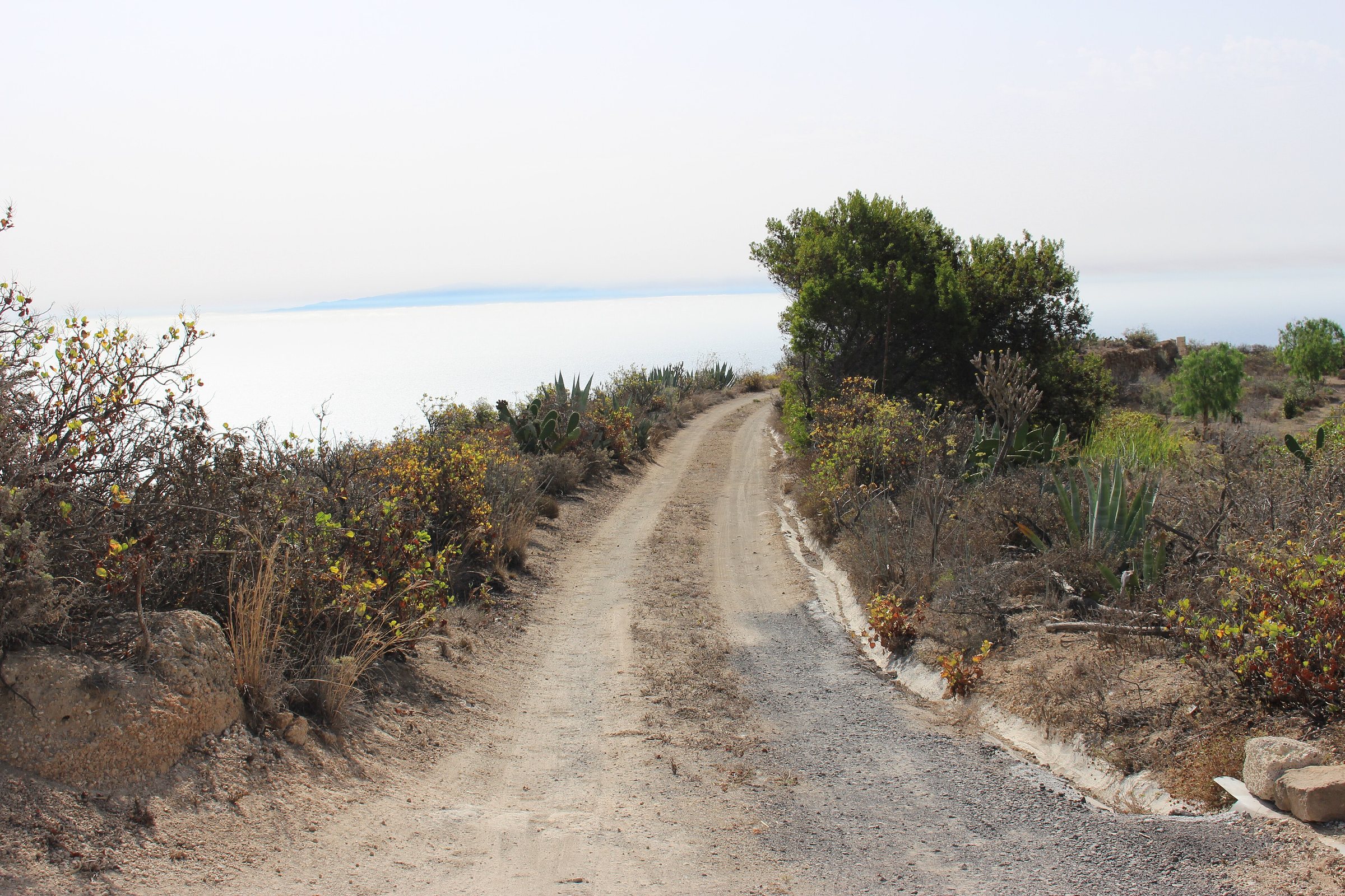 Immagine d'archivio: Tenerife desert mountain road