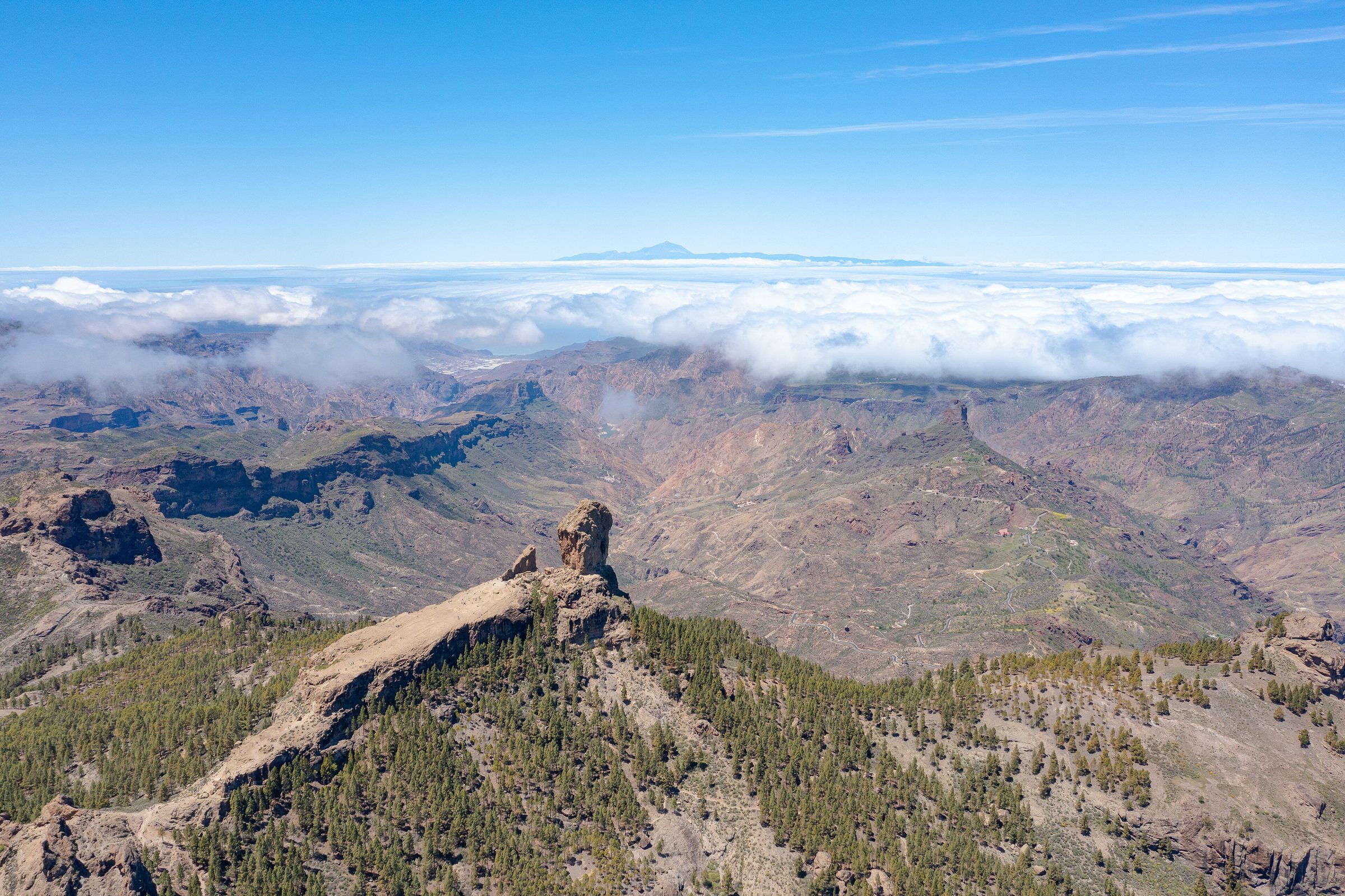 Symbolbild: Aerial view of Roque Nublo and Rural del Nublo Park, Gran Canaria