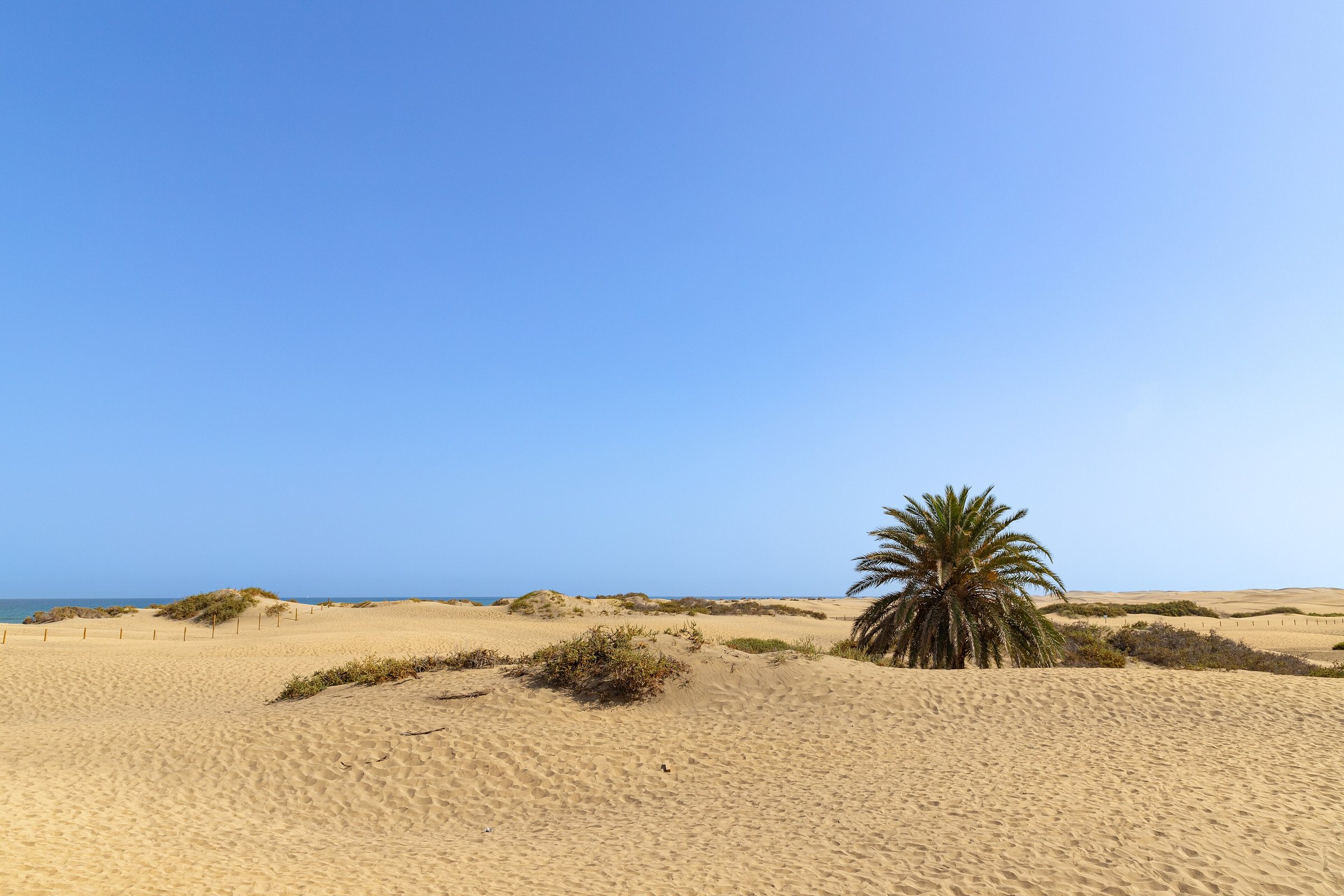 Imagen de archivo: Maspalomas Dunes in Gran Canaria