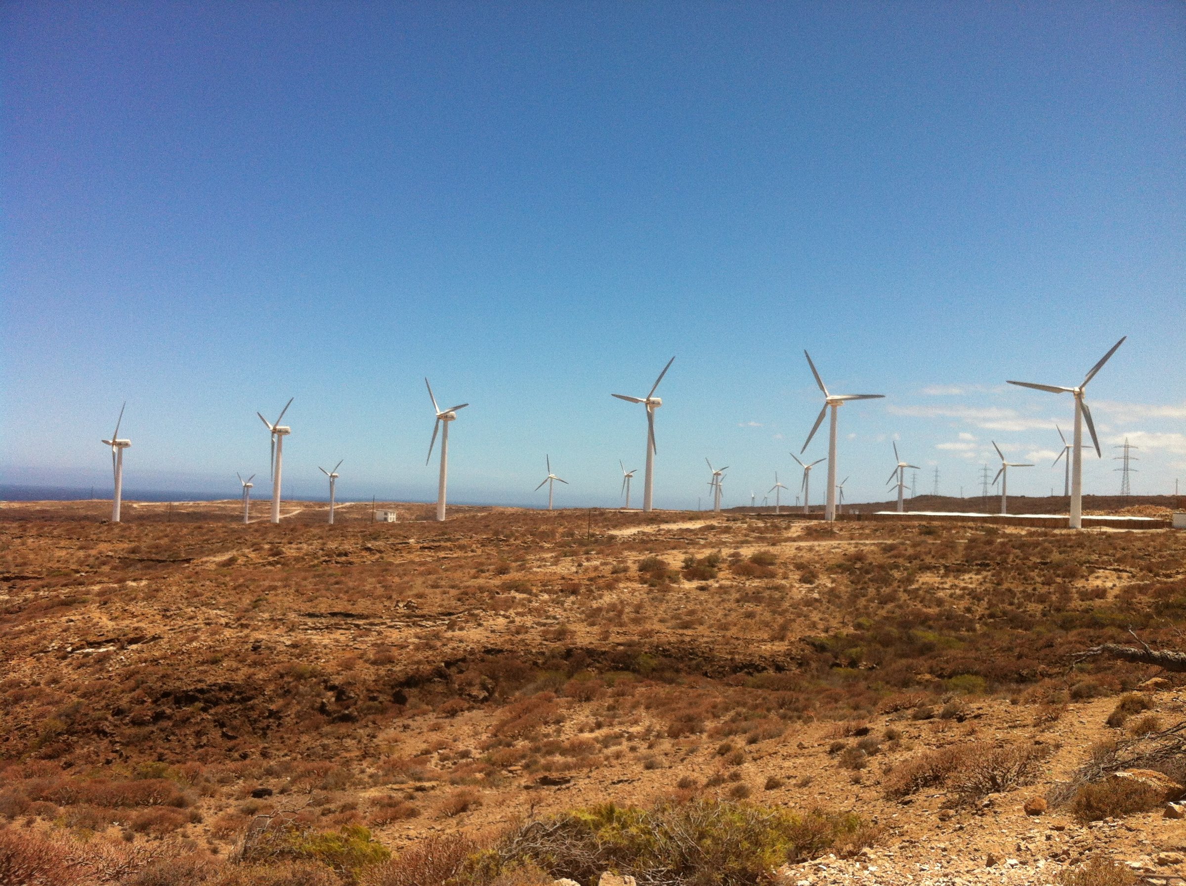 File photo: Tenerife Molinos