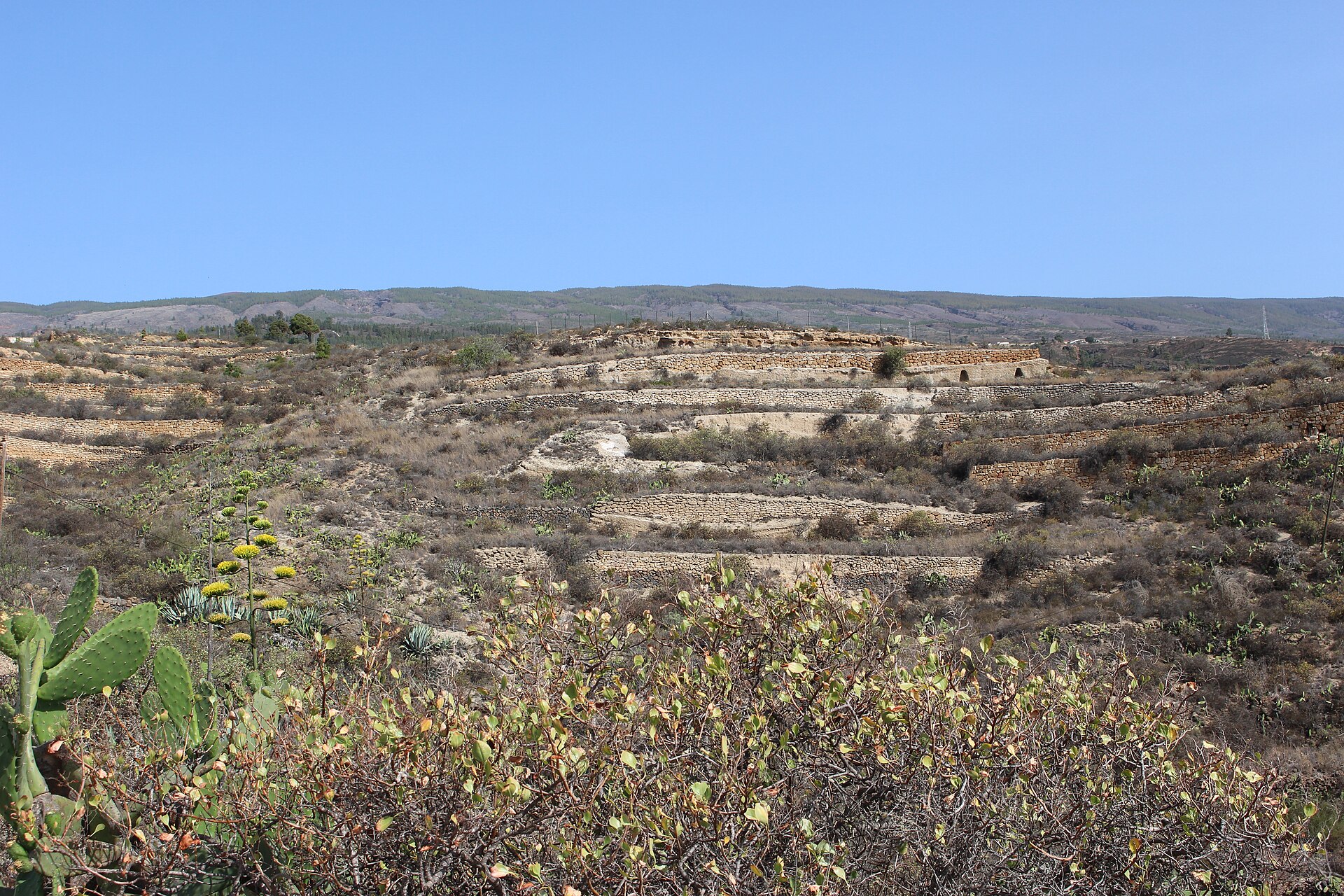 Symbolbild: Tenerife desert landscape