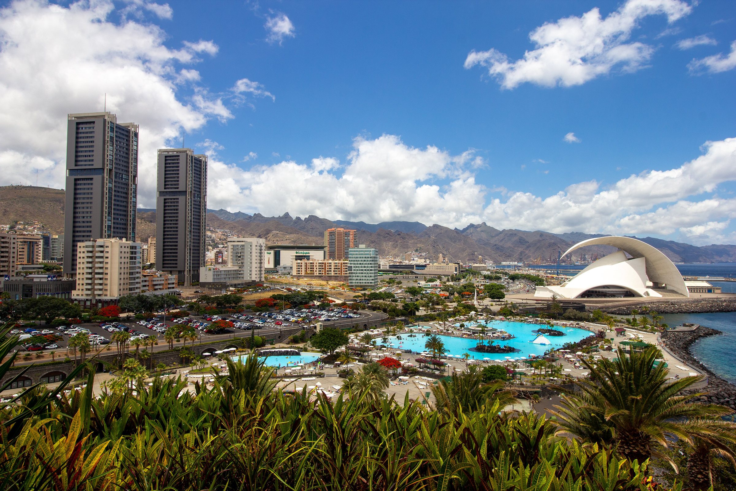 File photo: Palmetum of Santa Cruz de Tenerife 2019