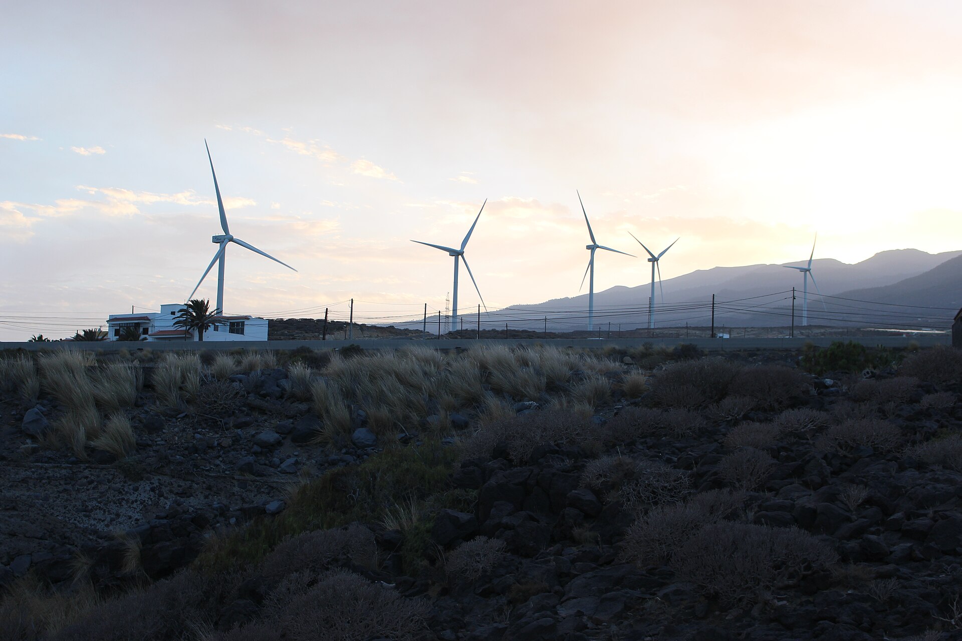 File photo: Tenerife desert wind turbines