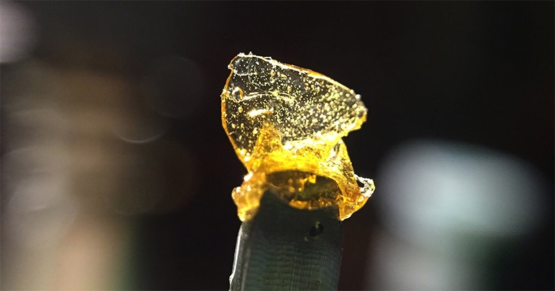 Rosin di cannabis e piante di marijuana sequestrati durante l'Operazione Hermit a Tenerife