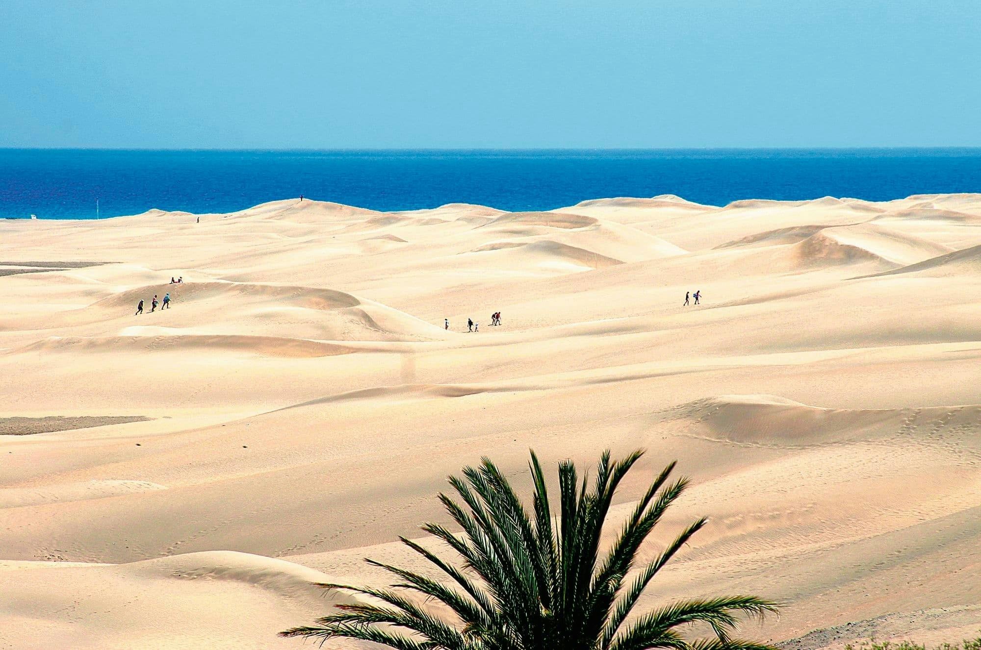 Dünen von Maspalomas mit Blick auf den Leuchtturm und den Atlantik