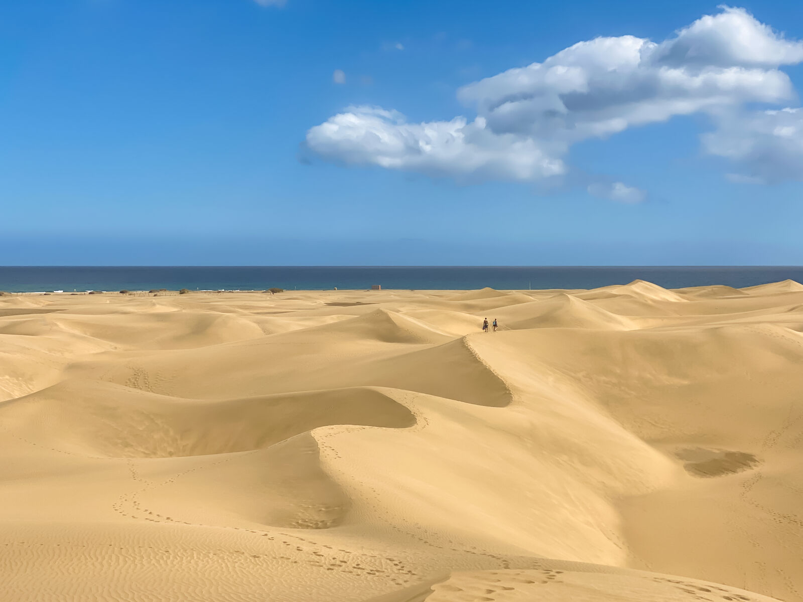 Luftaufnahme der Dünen von Maspalomas und des Strandes, Gran Canaria