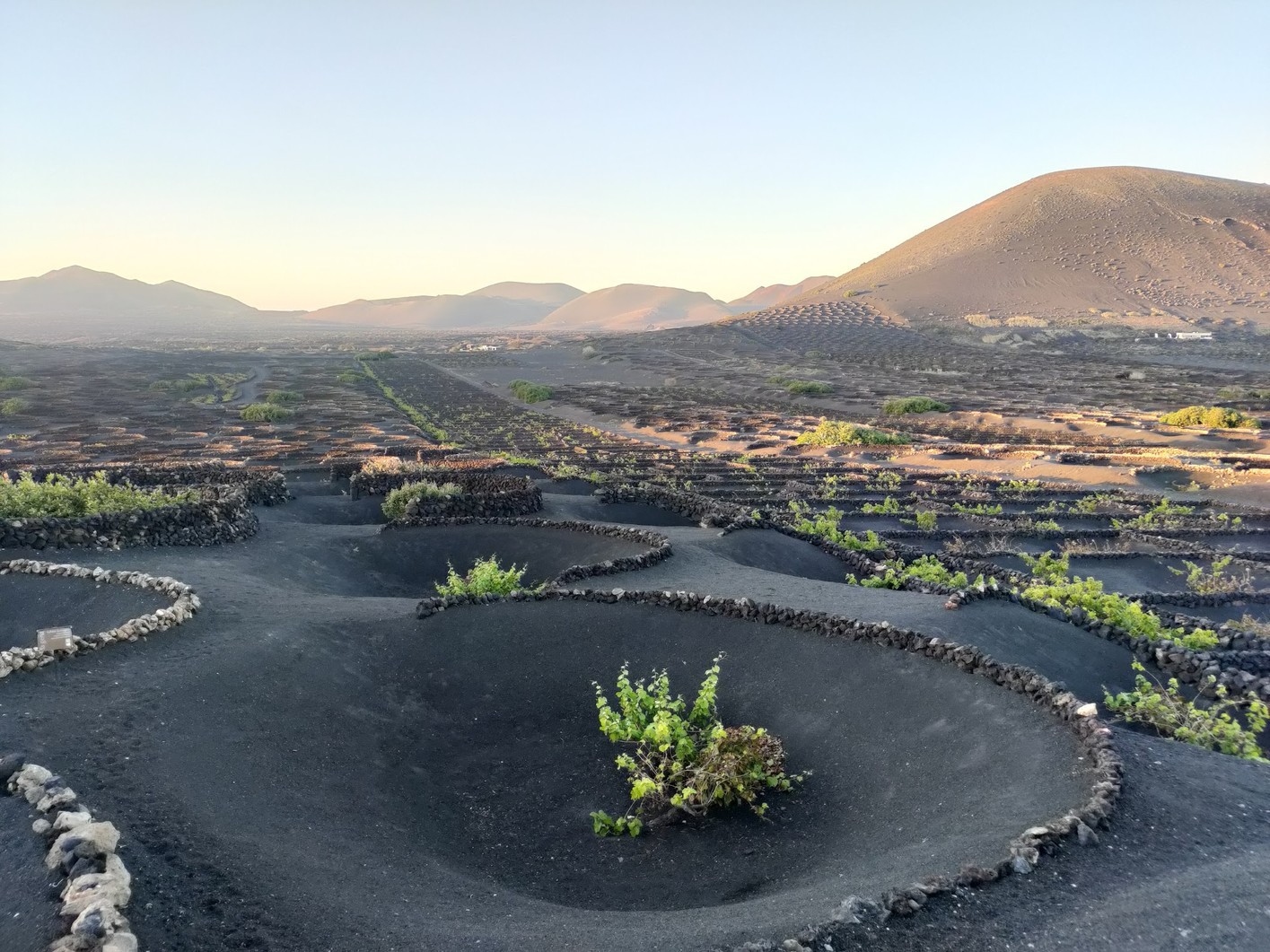 Vista de Lanzarote con Arrecife y el Atlántico, mercado laboral