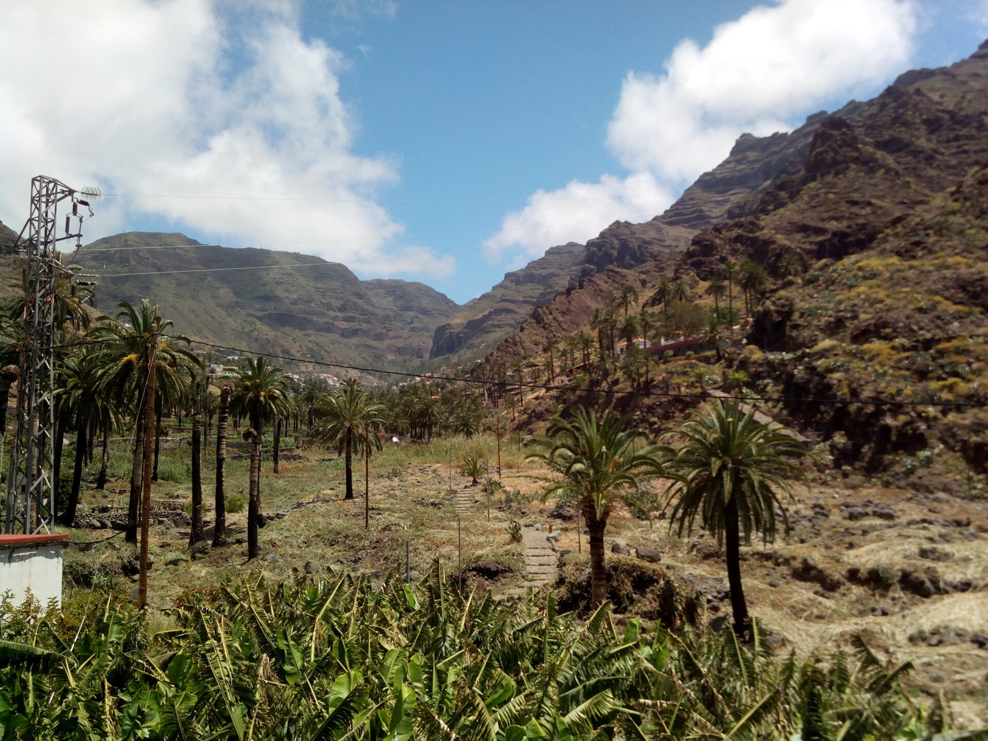 El Hierro: guías y consejos prácticos