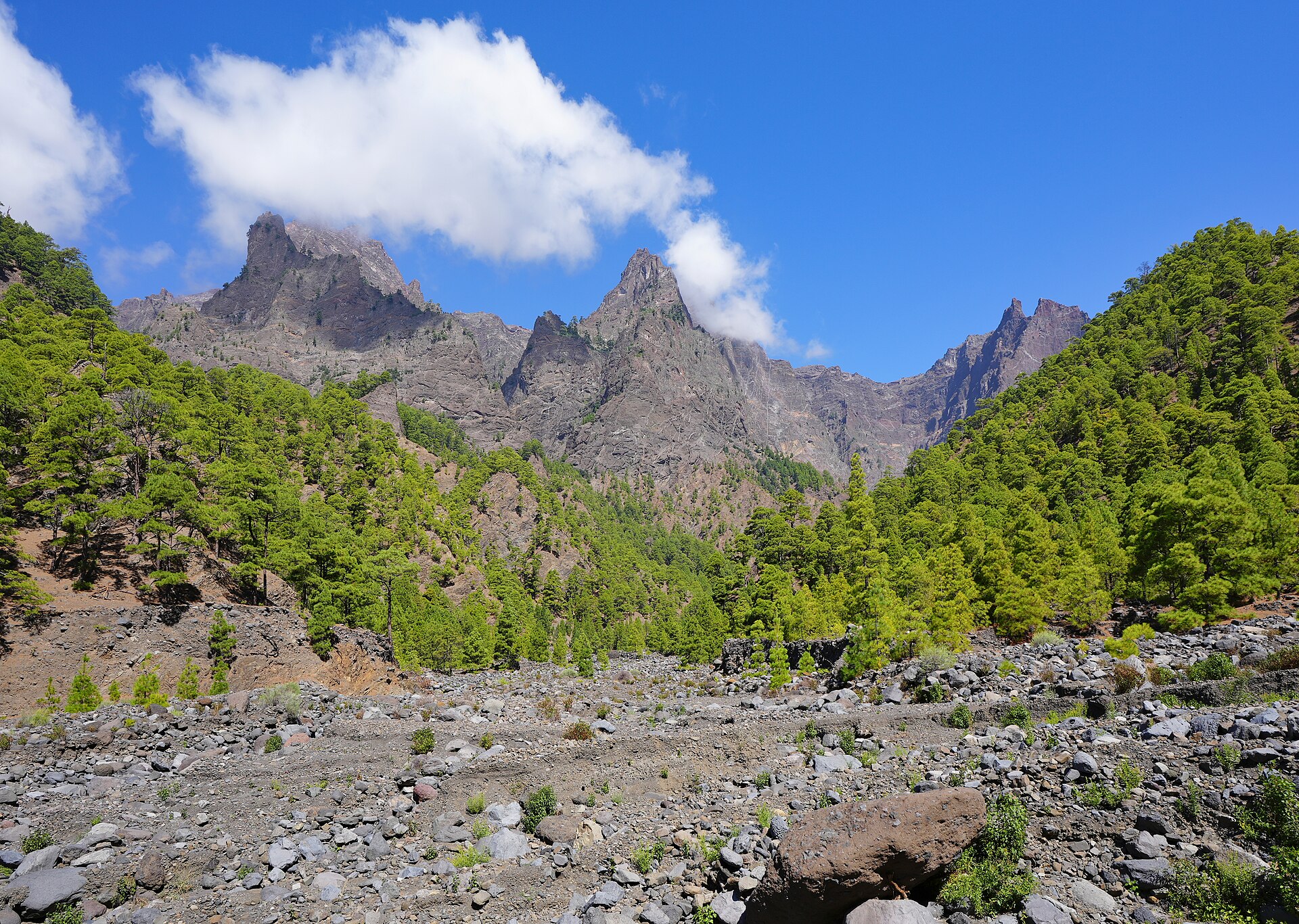 Meteo La Palma oggi: ora, 7 giorni e clima