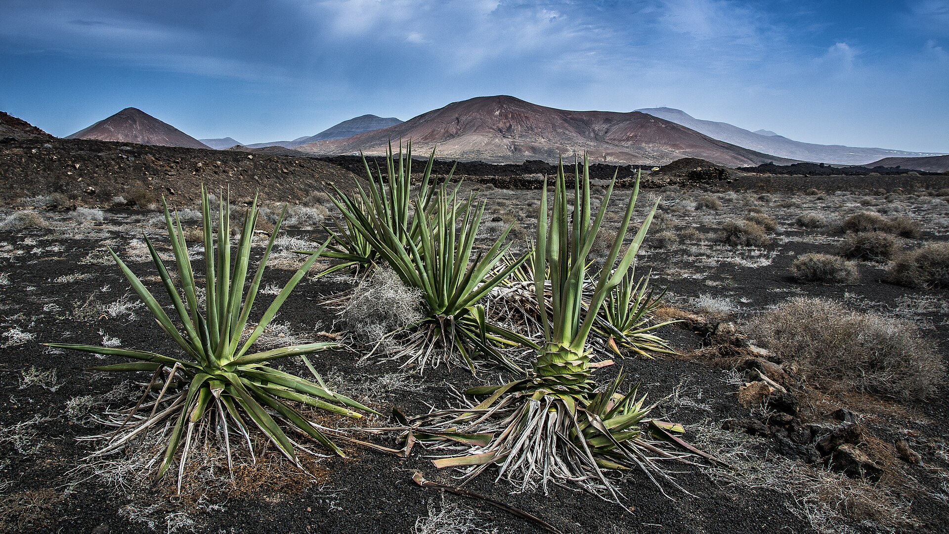 Wetter Lanzarote heute: aktuell, 7 Tage und Klima