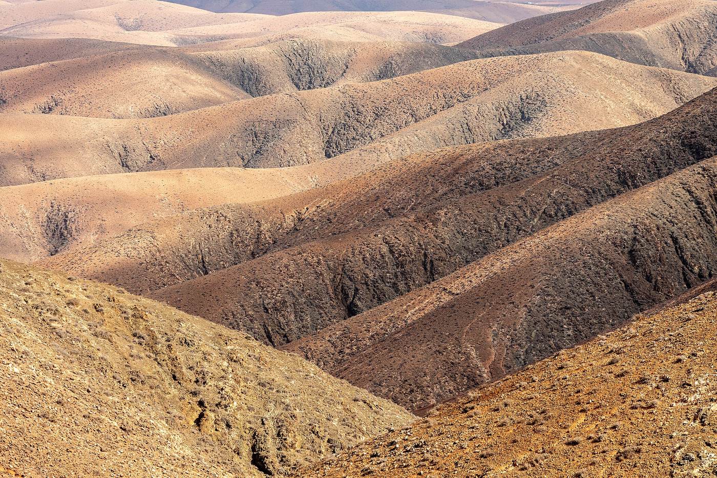 Symbolbild Fuerteventura